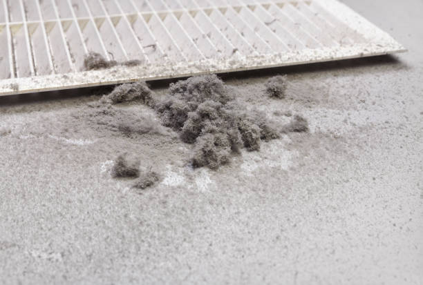 Best Affordable Duct Cleaning Services  in Poplar Cotton Center, CA