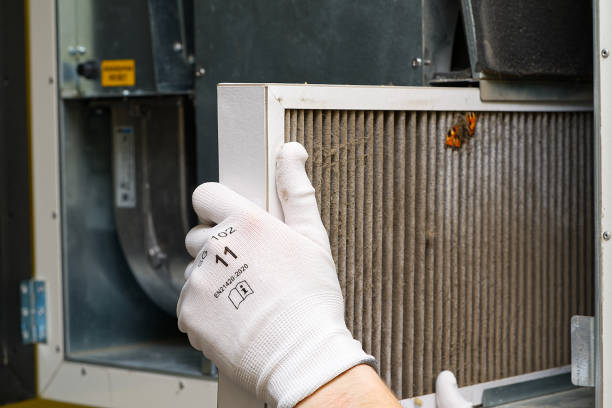 Best Air Duct Mold Removal  in Poplar Cotton Center, CA